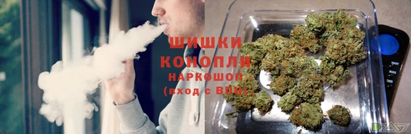 стафф Бронницы