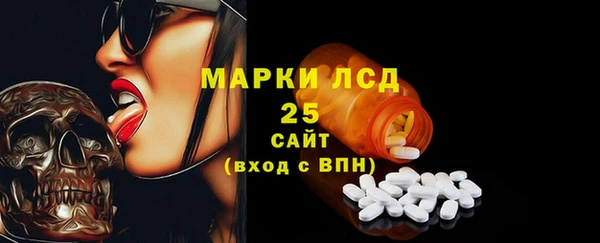 хмурый Бородино