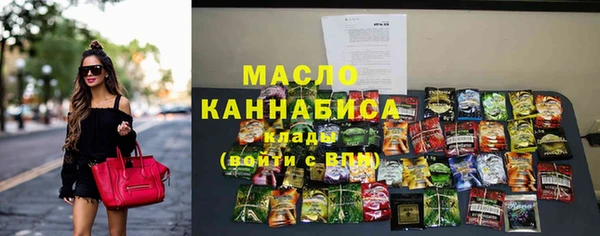 хмурый Бородино